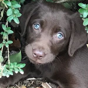 Meet your Posher, Clint